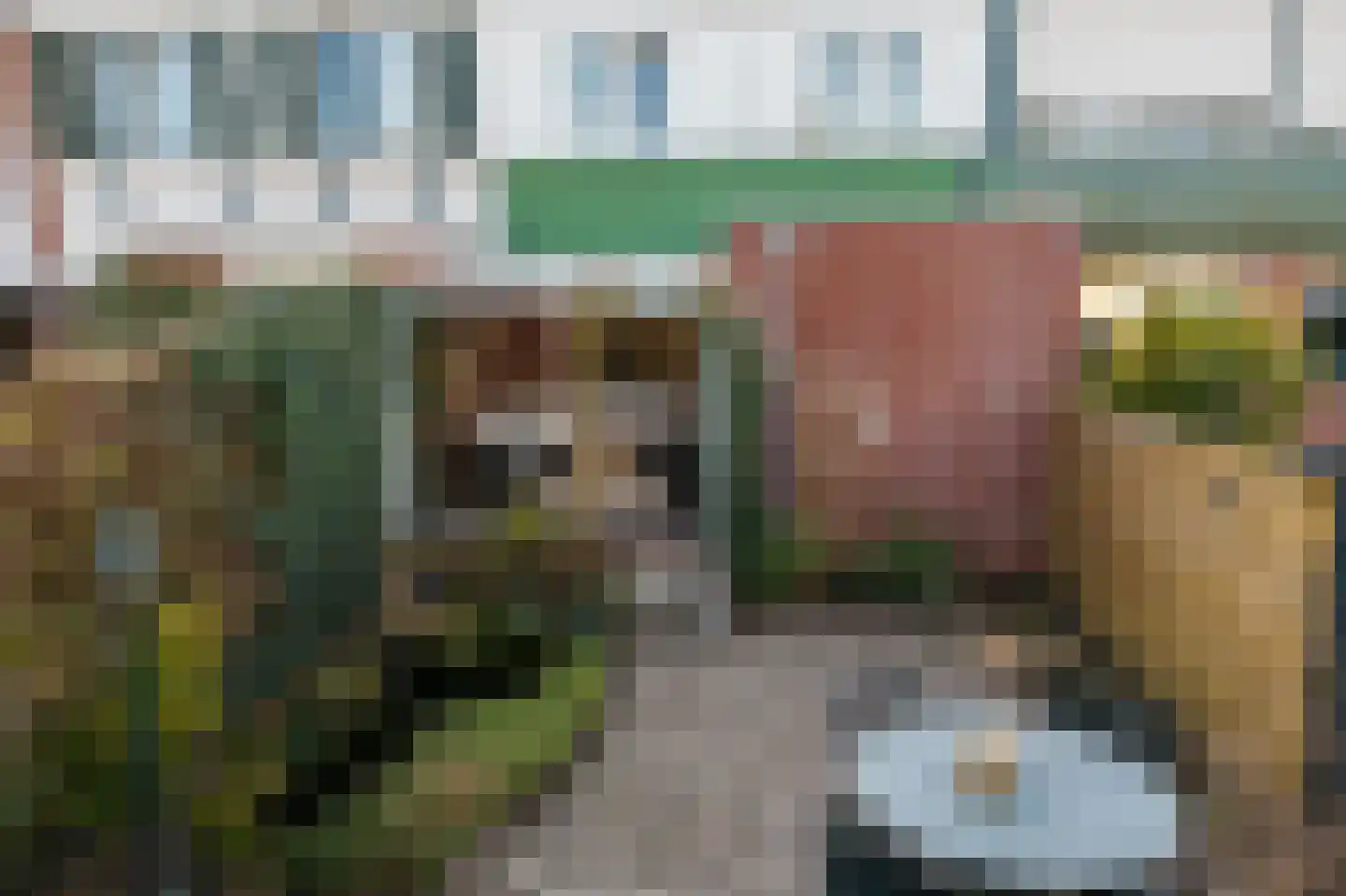 Möllenbergstraat 37 Losser thumbnail 41