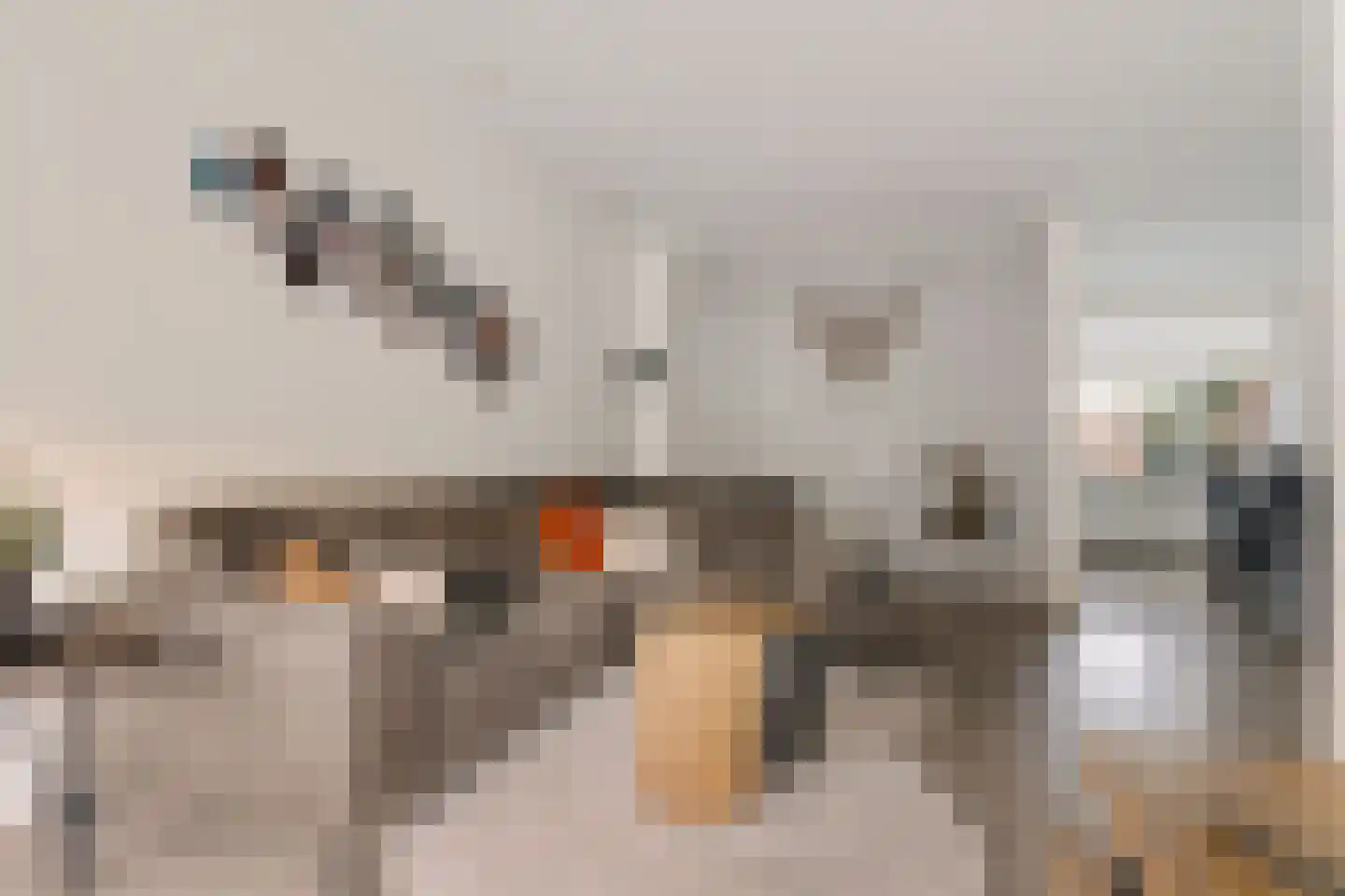 Möllenbergstraat 37 Losser thumbnail 5