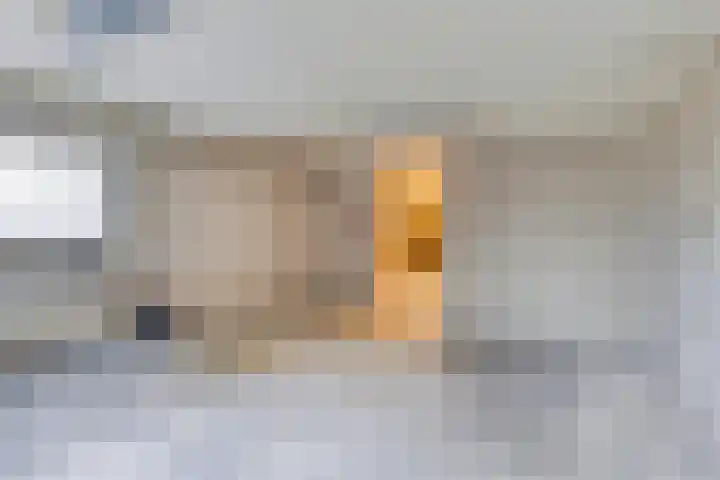 Möllenbergstraat 53 A Losser thumbnail 38