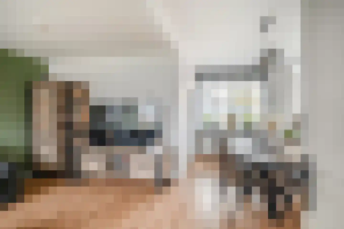Möllenbergstraat 57 Losser thumbnail 11