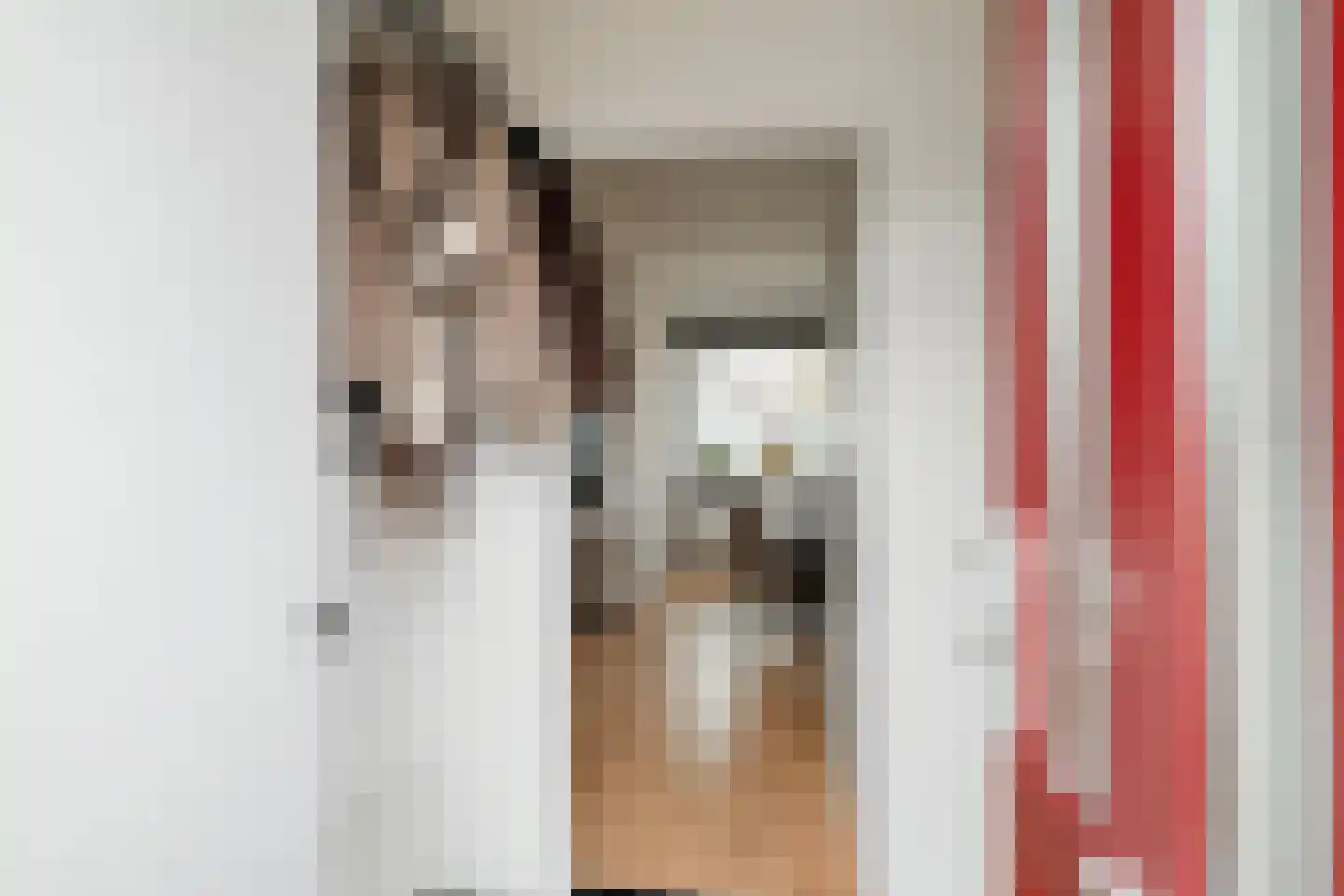 Möllenbergstraat 57 Losser thumbnail 7