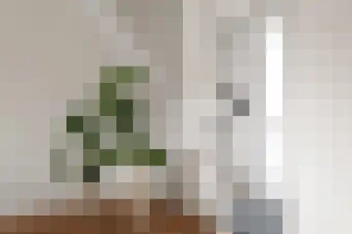 Möllenbergstraat 57 Losser thumbnail 9