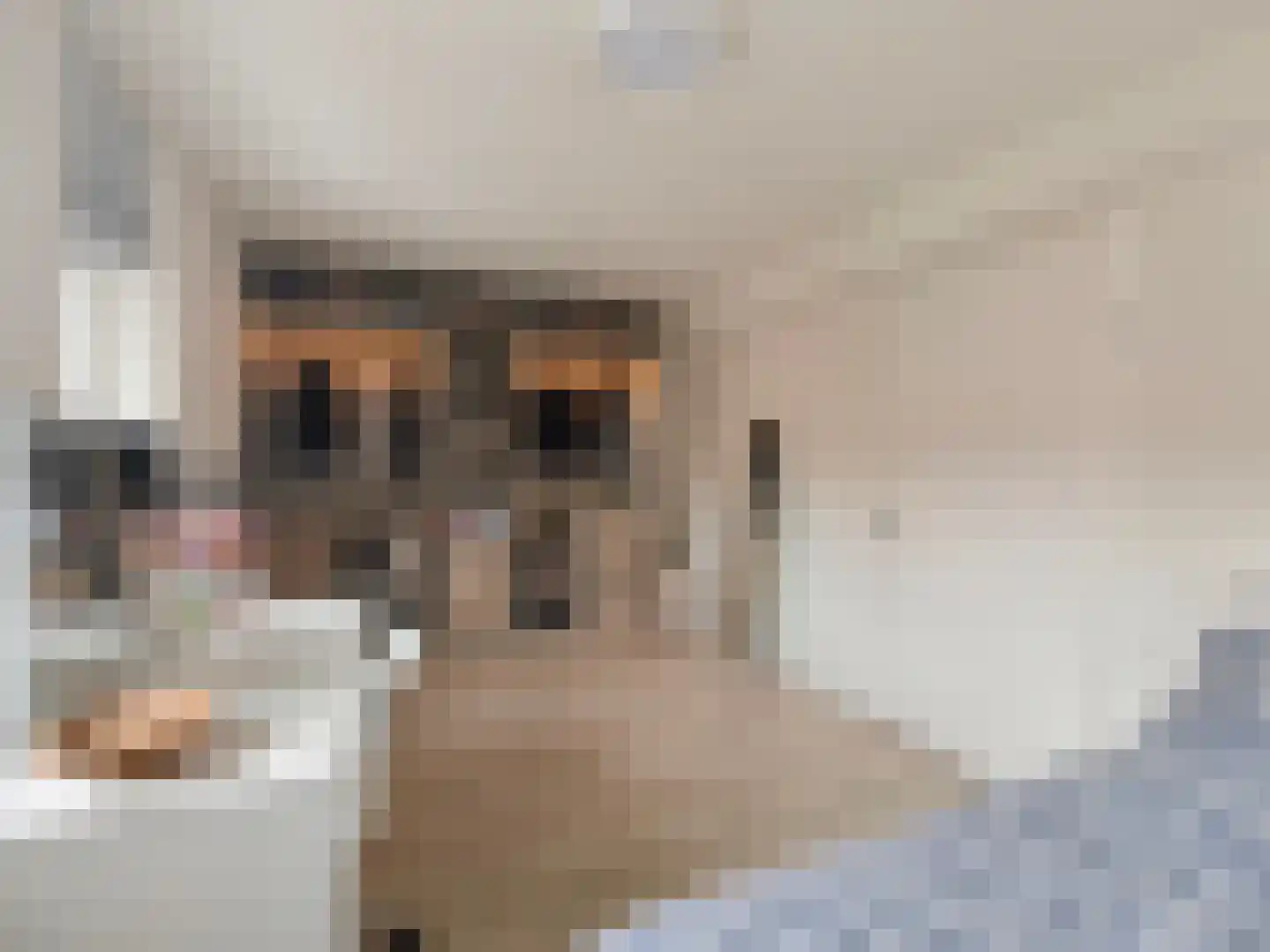 Mollenbos 26 Ede thumbnail 19