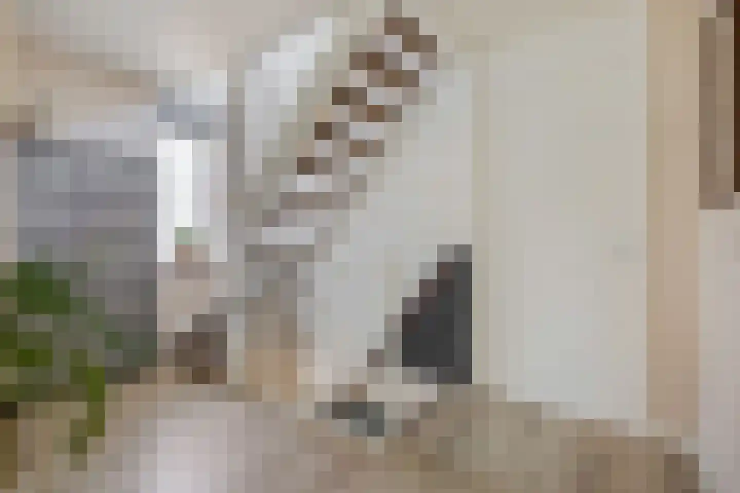 Mollenbos 26 Ede thumbnail 29
