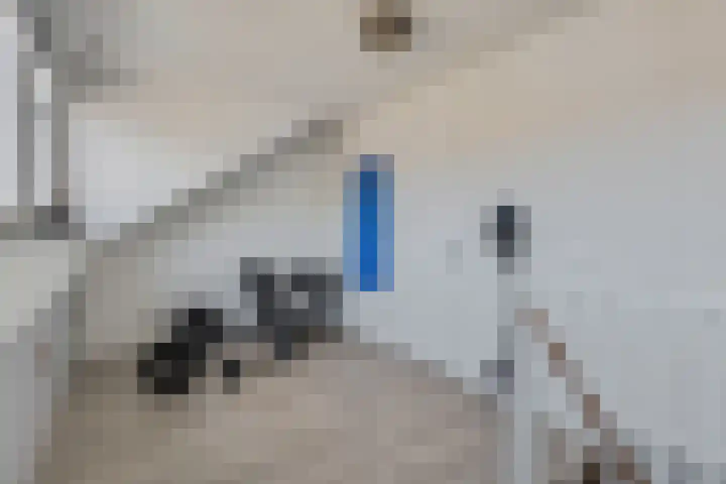 Mollenbos 26 Ede thumbnail 30