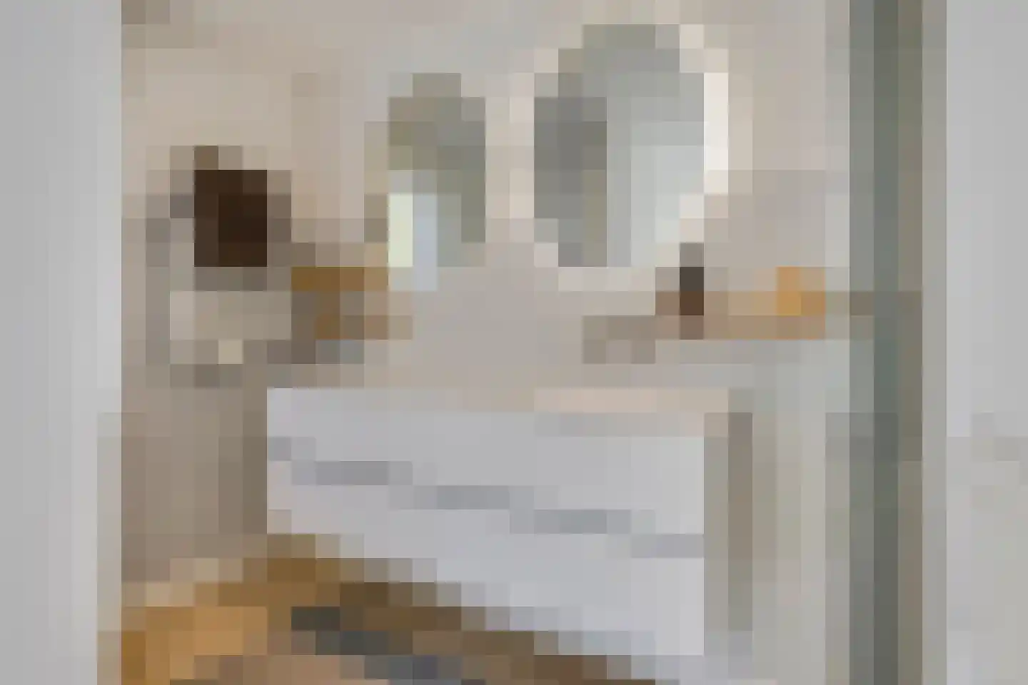 Mollenbos 26 Ede thumbnail 36