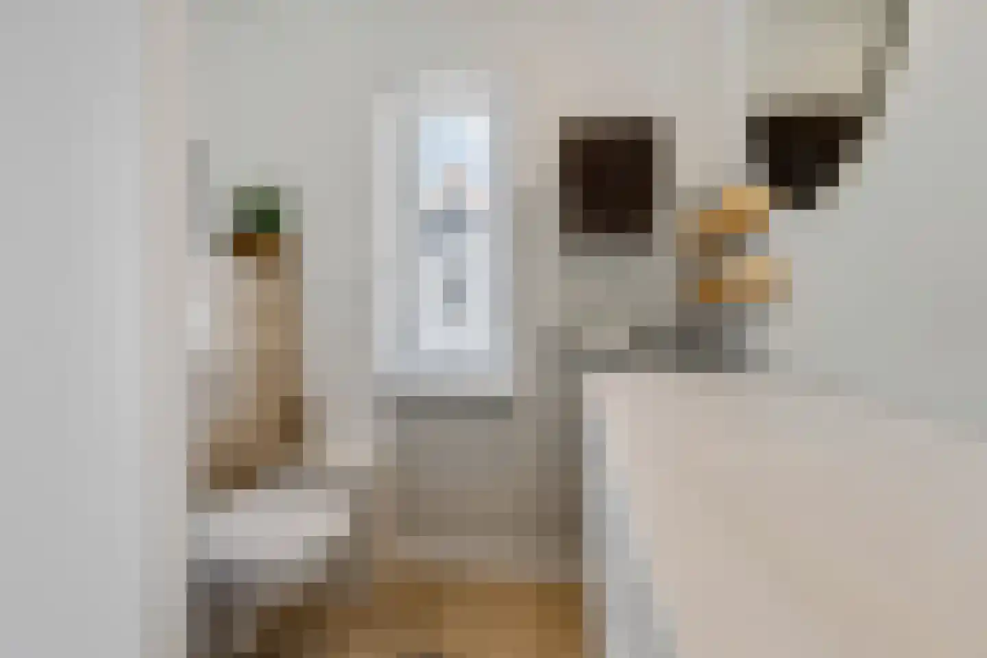 Mollenbos 26 Ede thumbnail 37