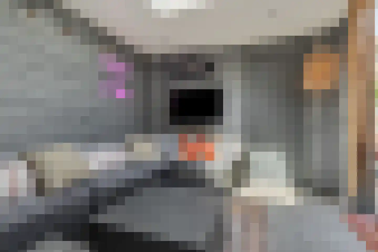 Mollenbos 26 Ede thumbnail 46