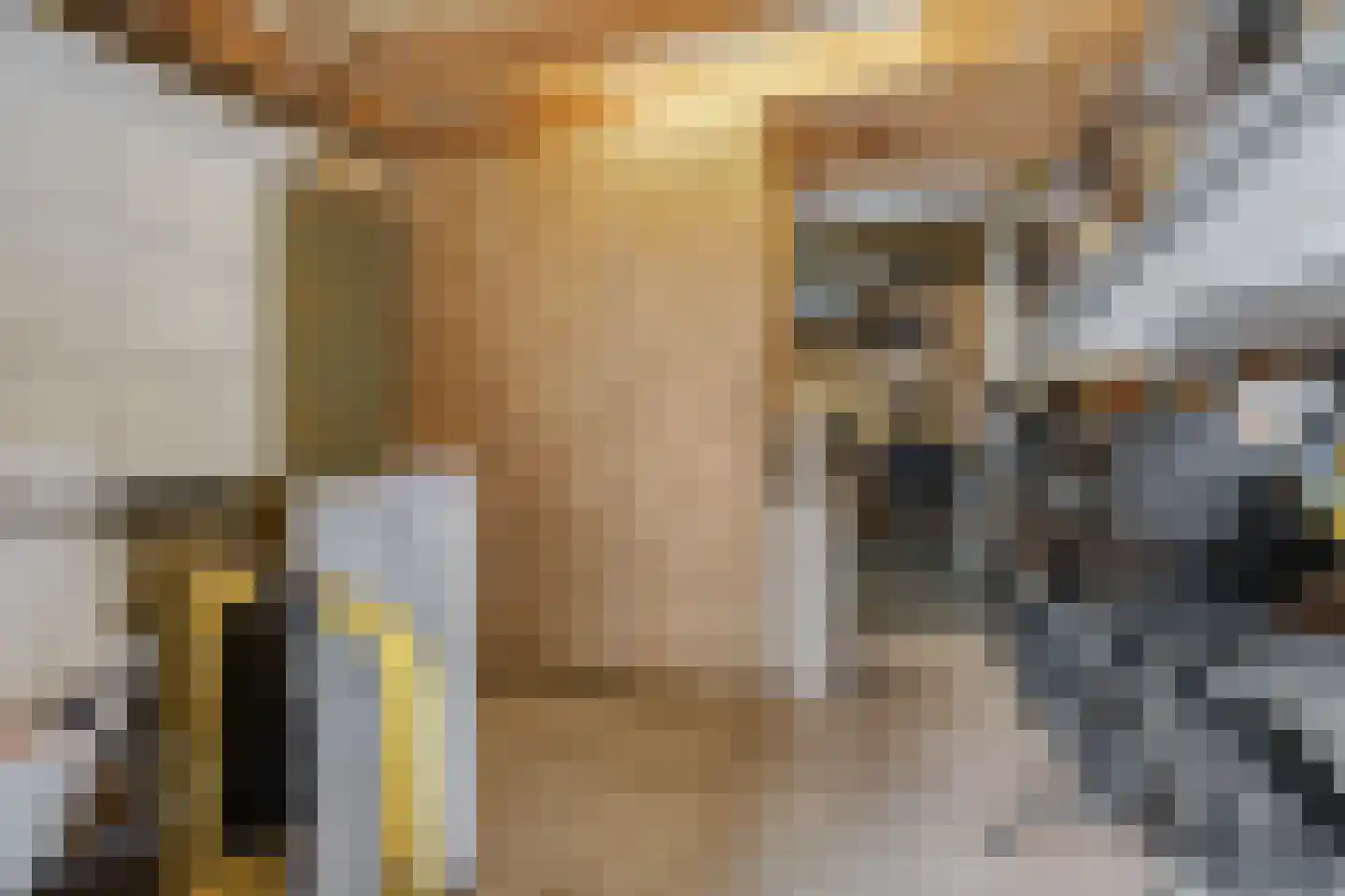 Mollenbos 26 Ede thumbnail 47