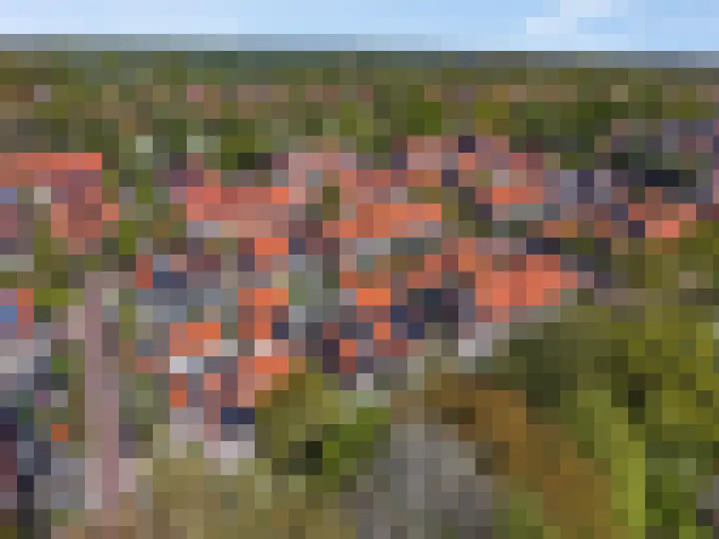 Mollenbos 26 Ede thumbnail 60
