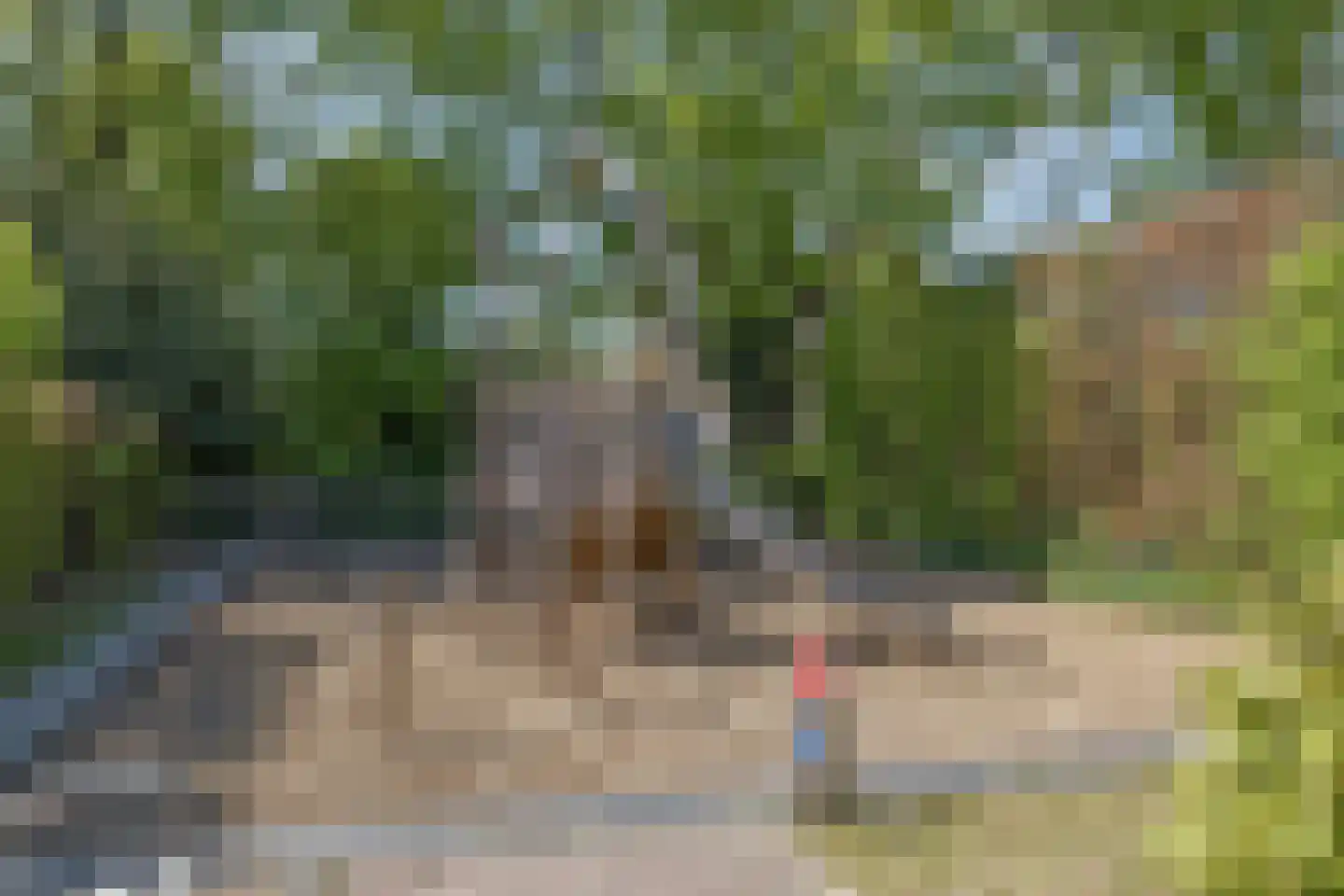 Mollenbos 26 Ede thumbnail 62