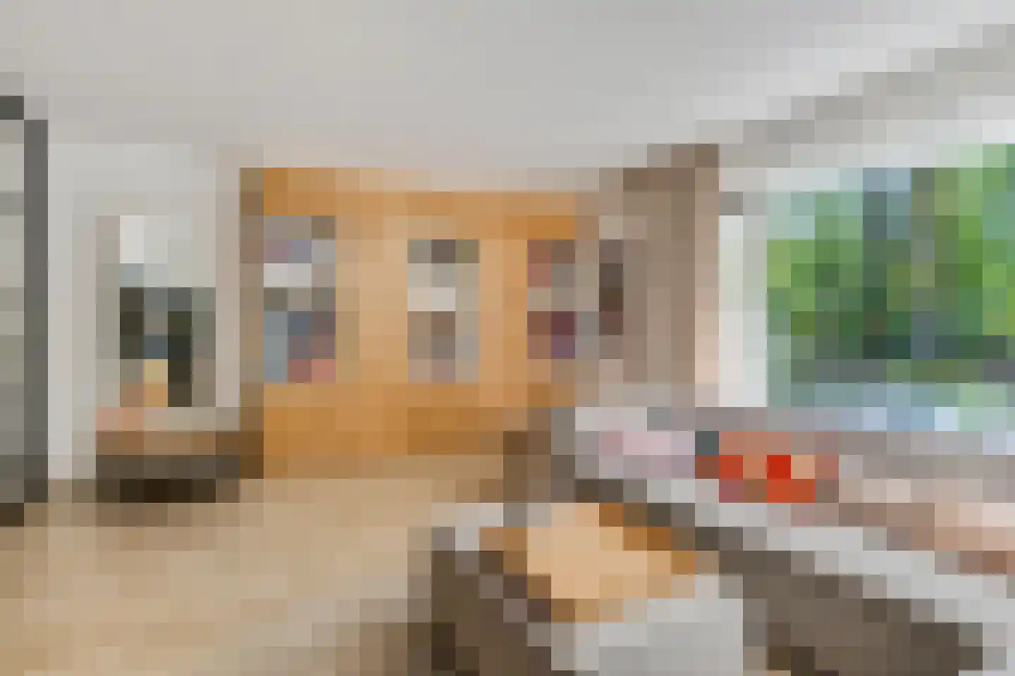 Mollenbos 26 Ede thumbnail 7
