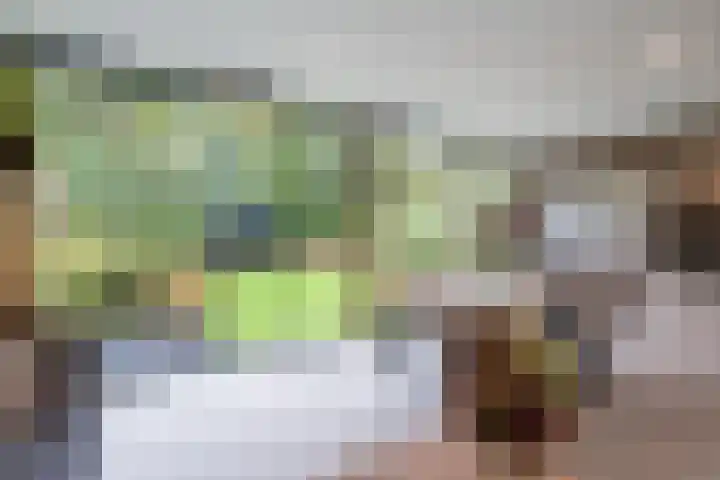 Mollenstraat 36 Bergeijk thumbnail 4