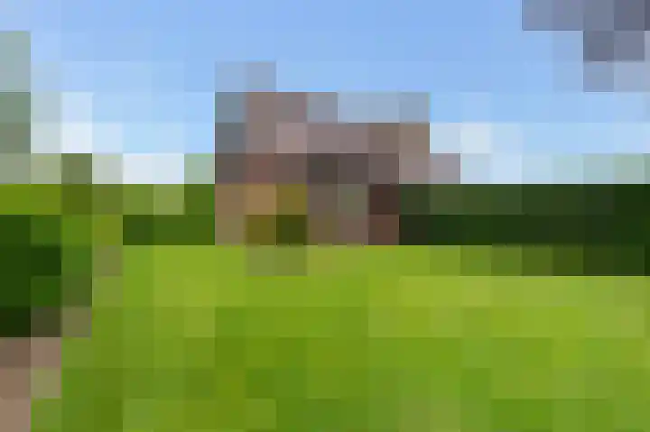 Mölleweg 2 Beltrum thumbnail 36