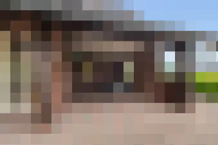Mölleweg 2 Beltrum thumbnail 38