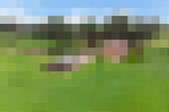 Mölleweg 2 Beltrum thumbnail 4