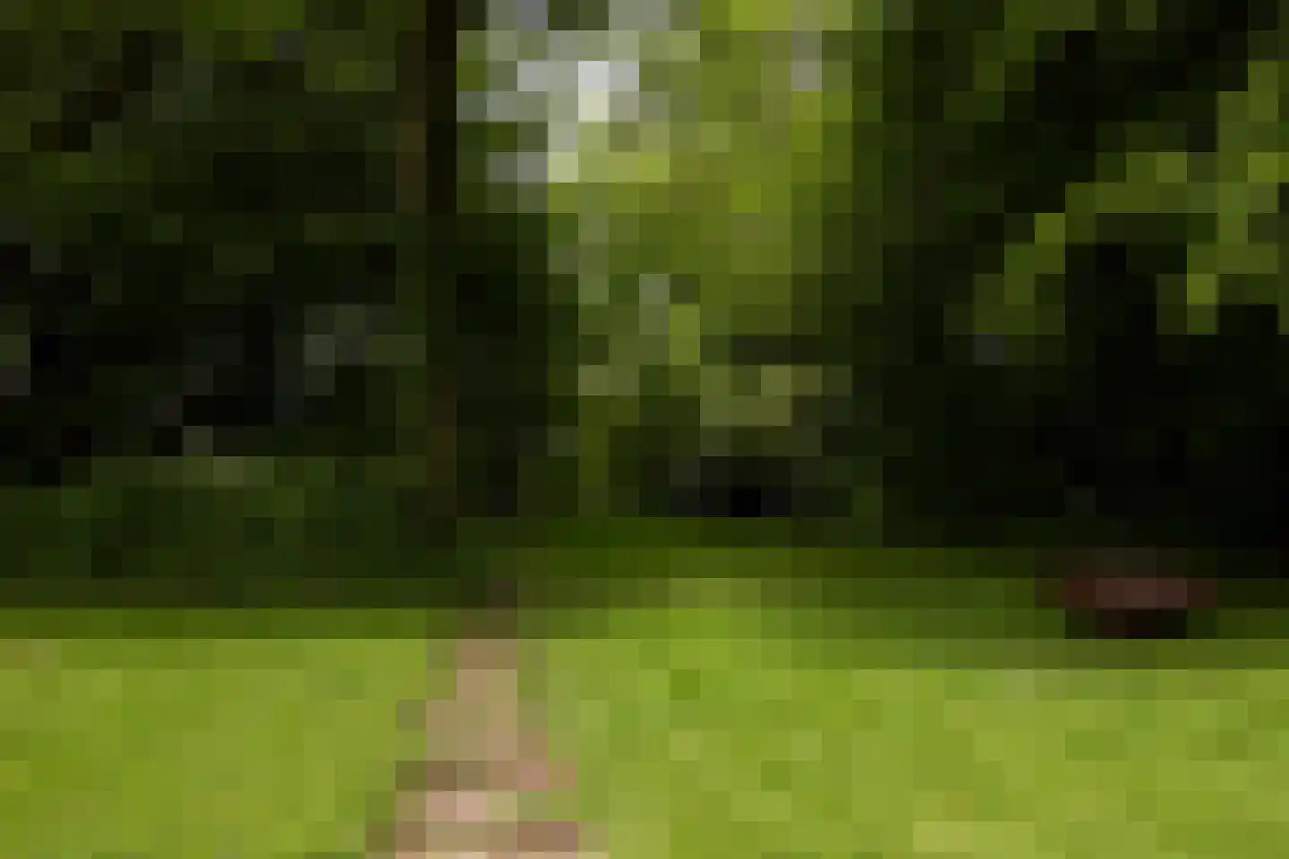 Molsberg 55 Simpelveld thumbnail 18