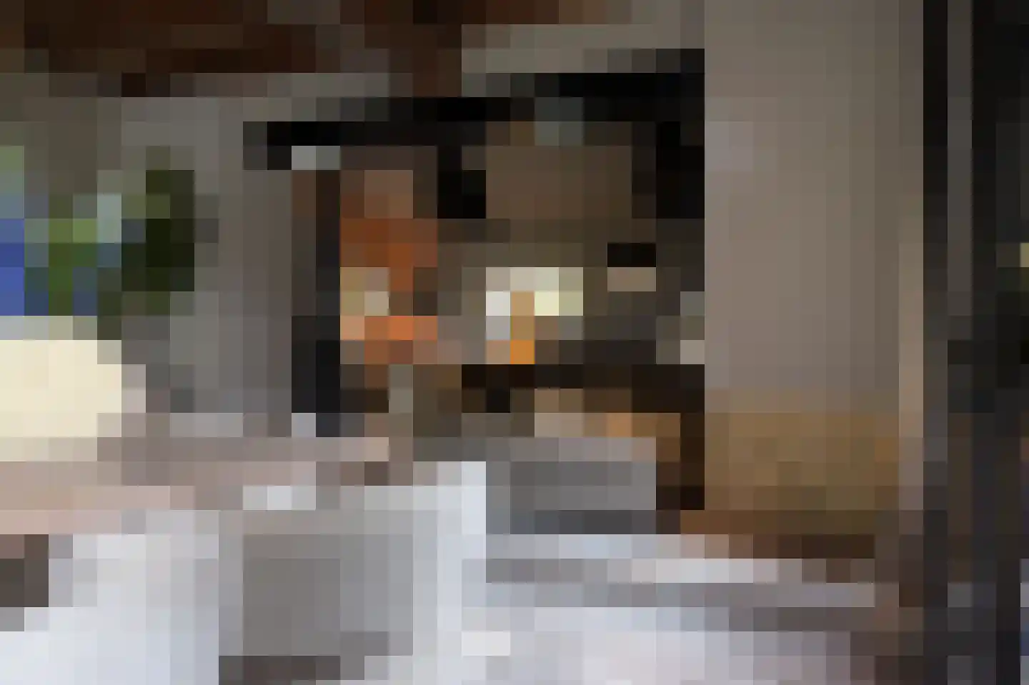 Molsberg 55 Simpelveld thumbnail 7