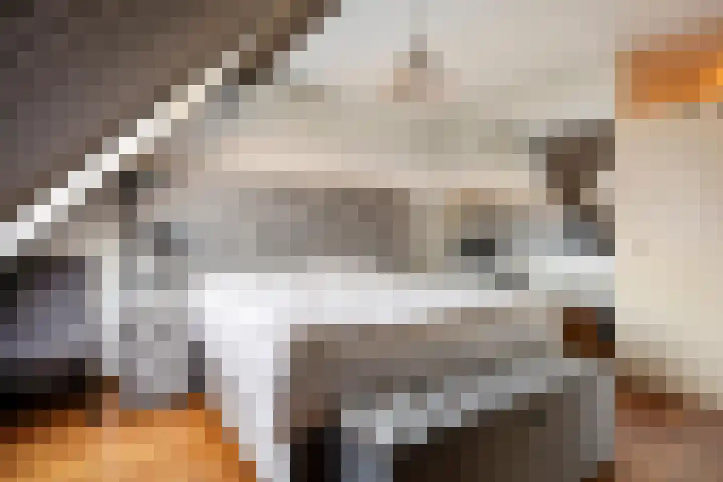 Molshoefweer 33 Sliedrecht thumbnail 13