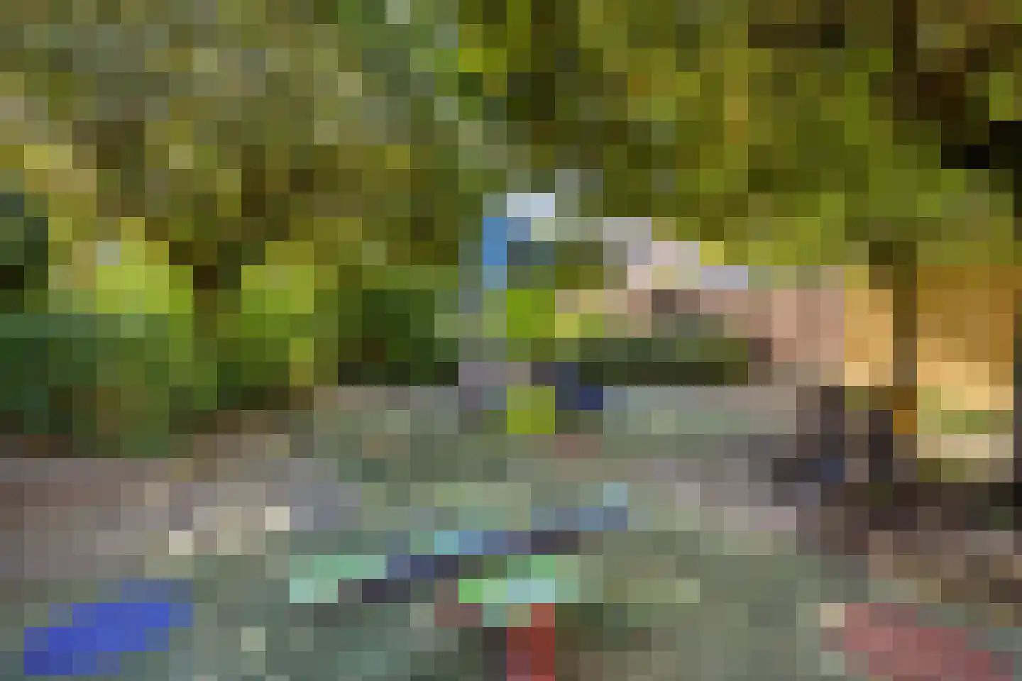 Molshoefweer 33 Sliedrecht thumbnail 26