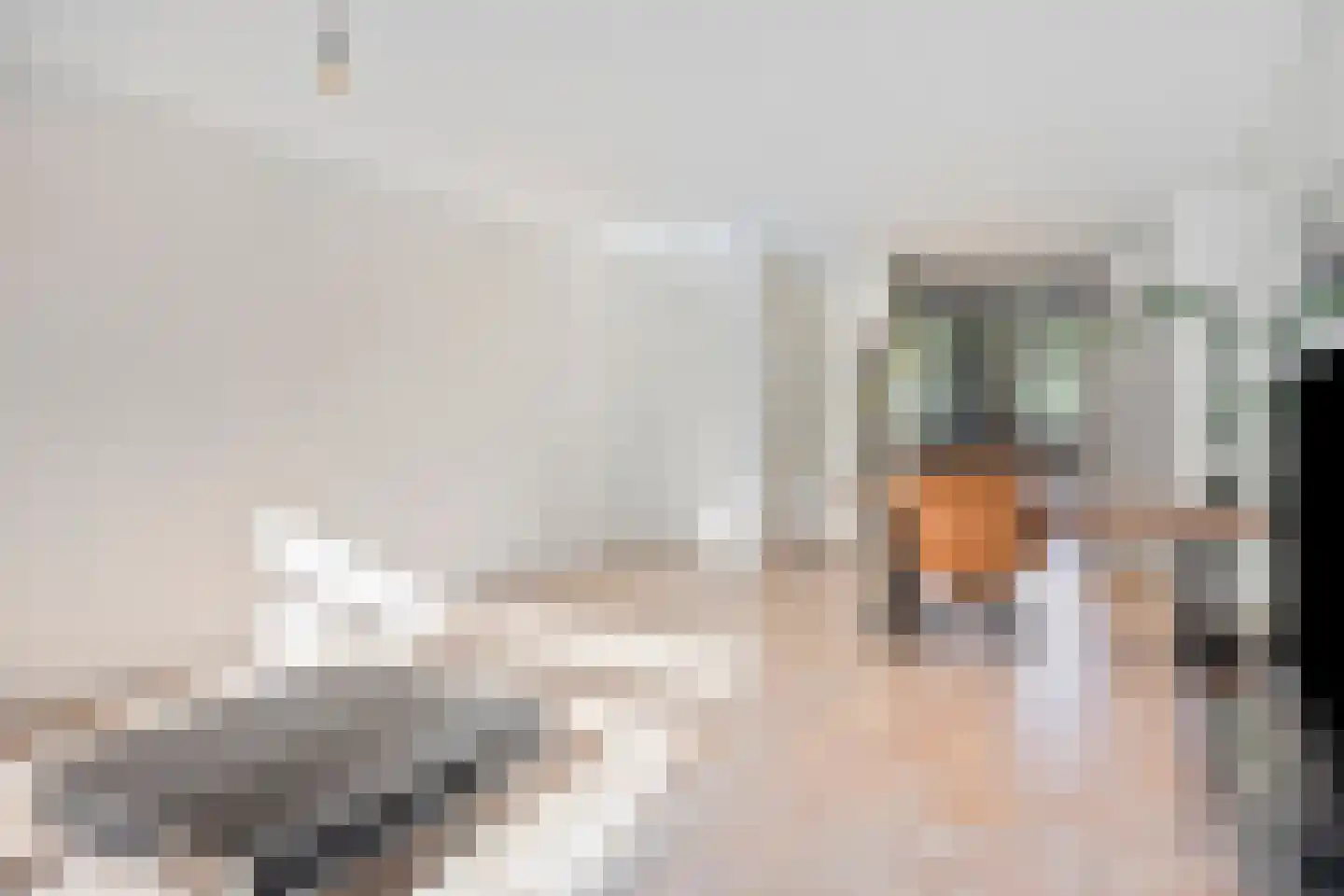 Molshoefweer 33 Sliedrecht thumbnail 5