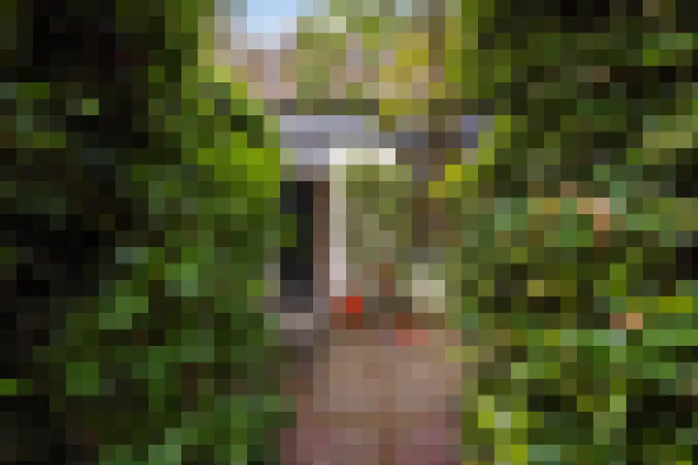 Molslaan 143 Delft thumbnail 17