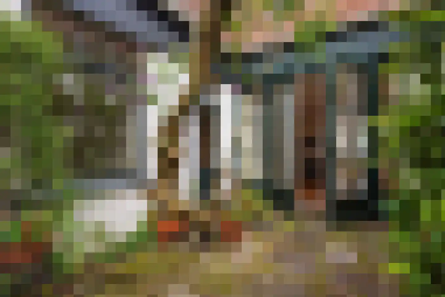 Molslaan 143 Delft thumbnail 18