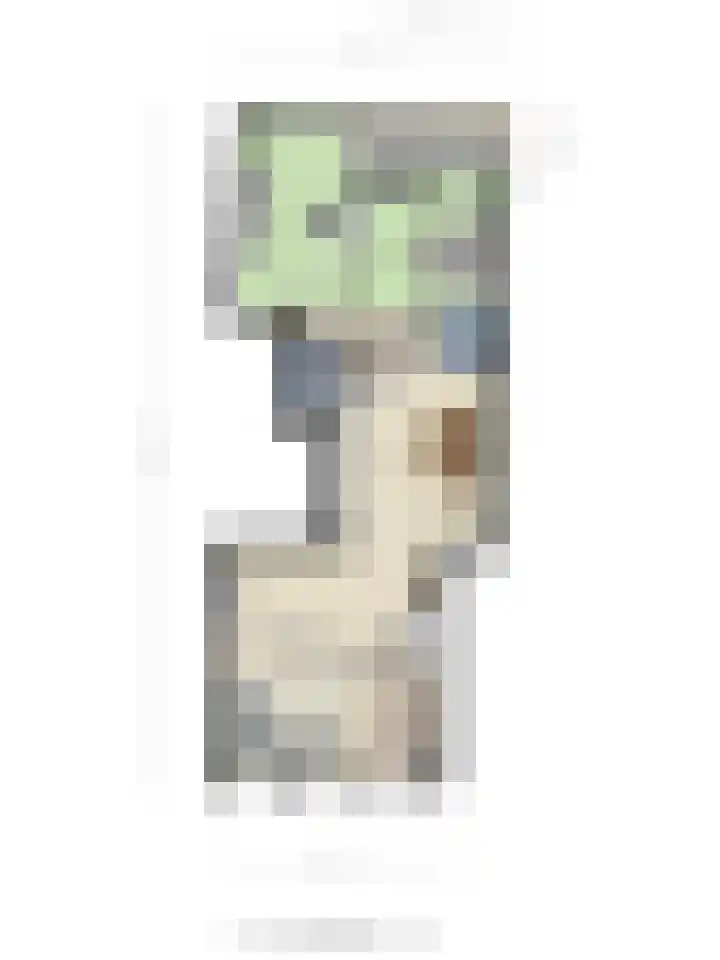 Molslaan 184 Delft thumbnail 31