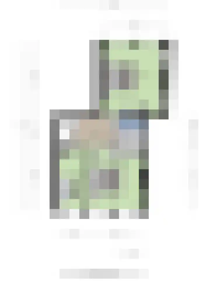 Molslaan 184 Delft thumbnail 32