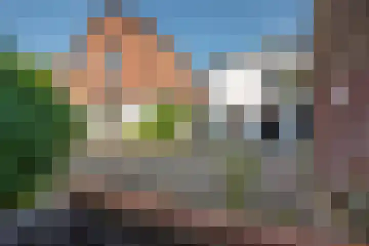 Molslaan 204 Delft thumbnail 54