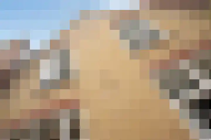 Molslaan 204 Delft thumbnail 7