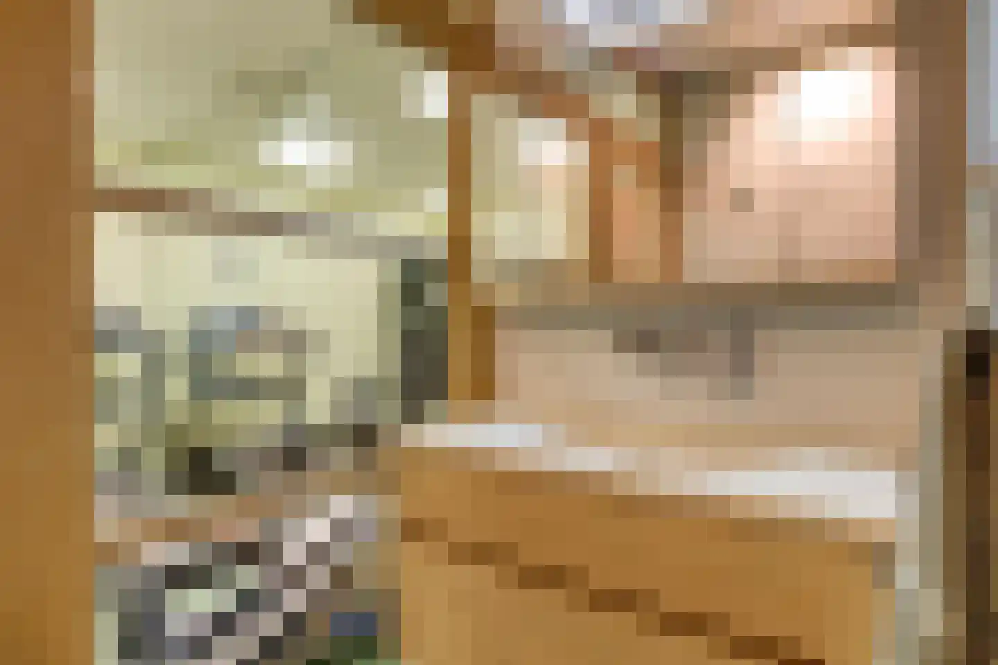 Molslaan 206 Delft thumbnail 19