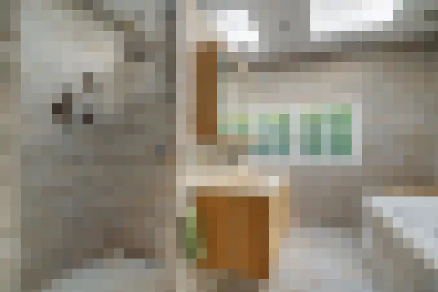 Molslaan 206 Delft thumbnail 52