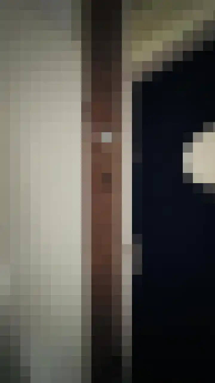 Molslaan 78 Delft foto 2