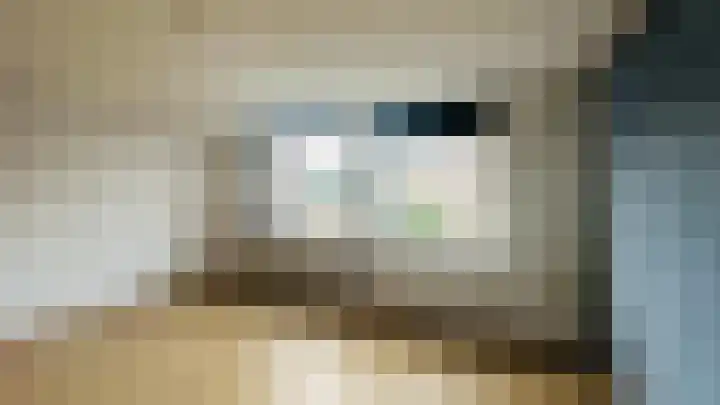 Molslaan 78 Delft thumbnail 9