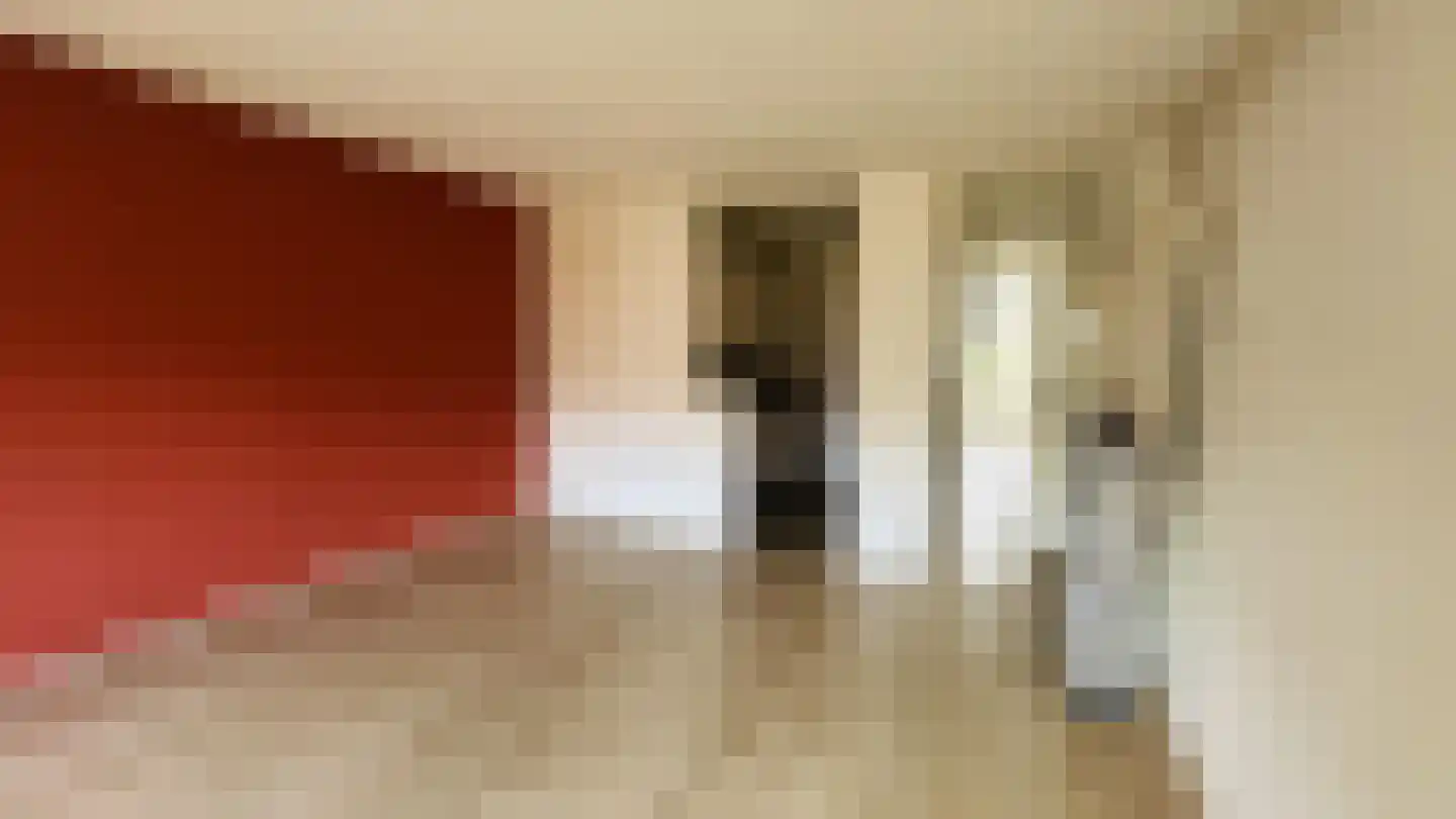 Molslaan 82 Delft thumbnail 5