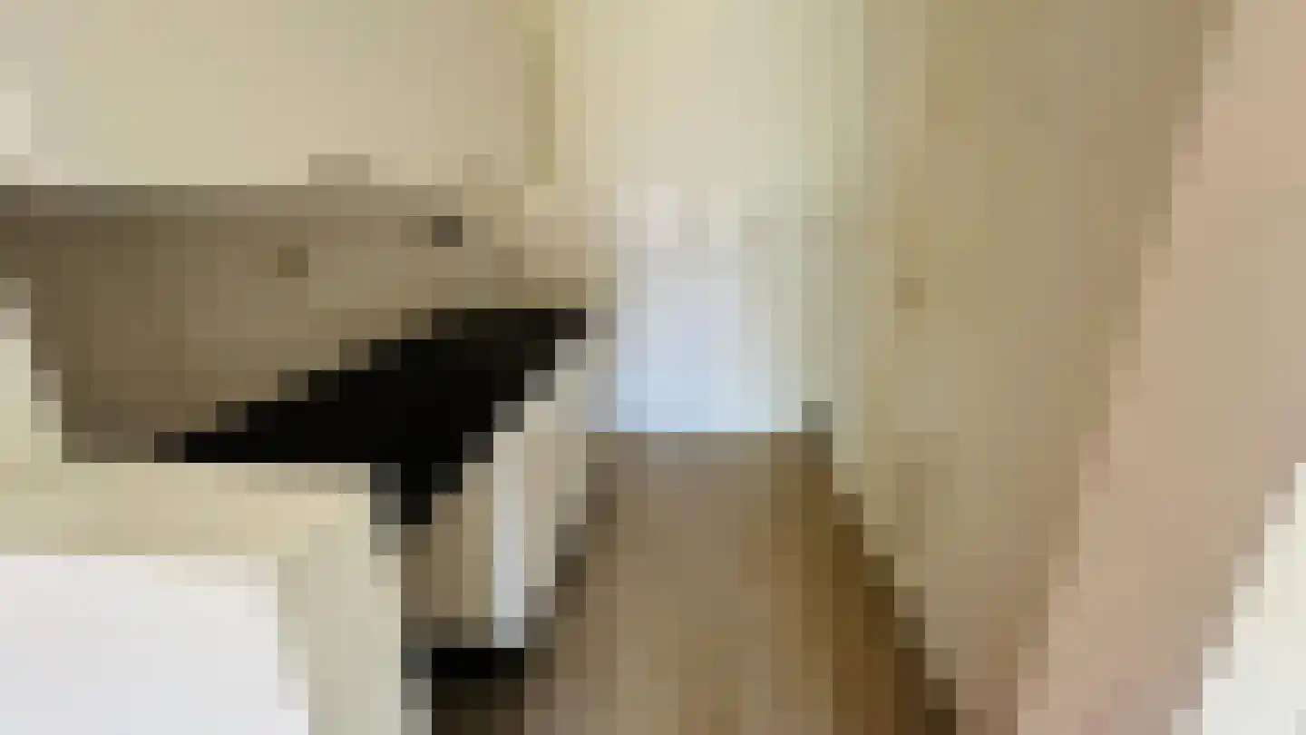 Molslaan 82 Delft thumbnail 9