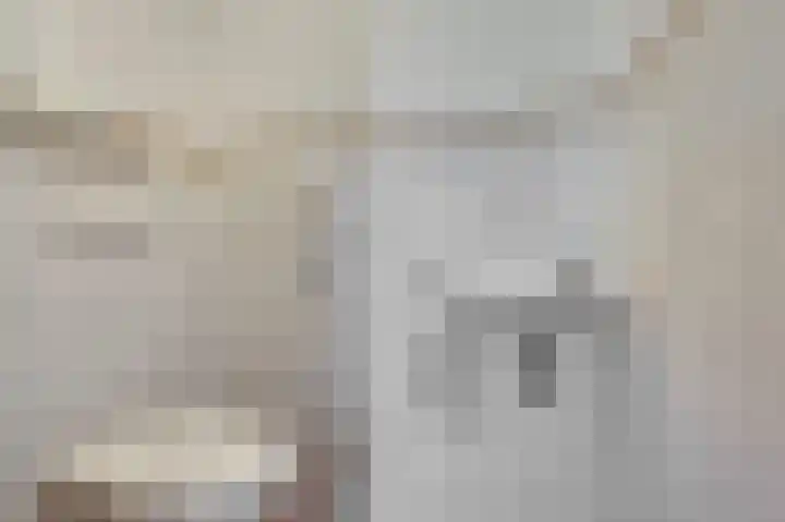 Molster 21 Krabbendijke thumbnail 11