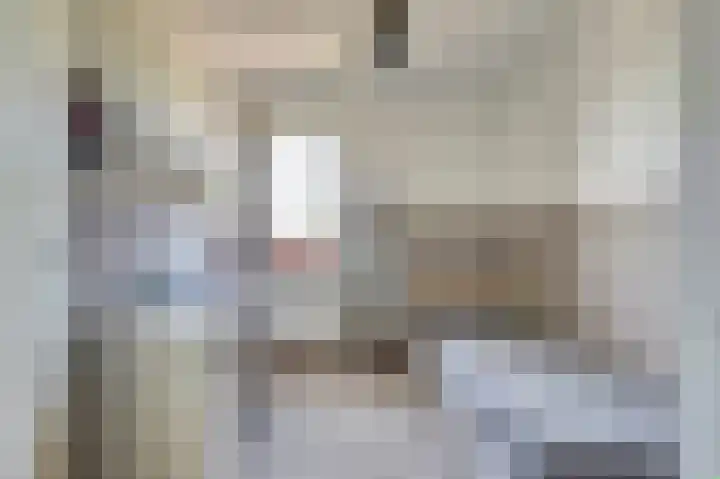 Molster 21 Krabbendijke thumbnail 16