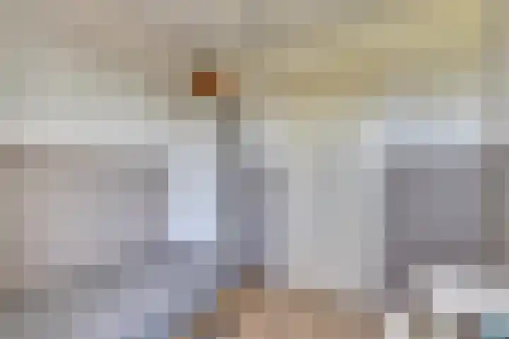 Molster 21 Krabbendijke thumbnail 19