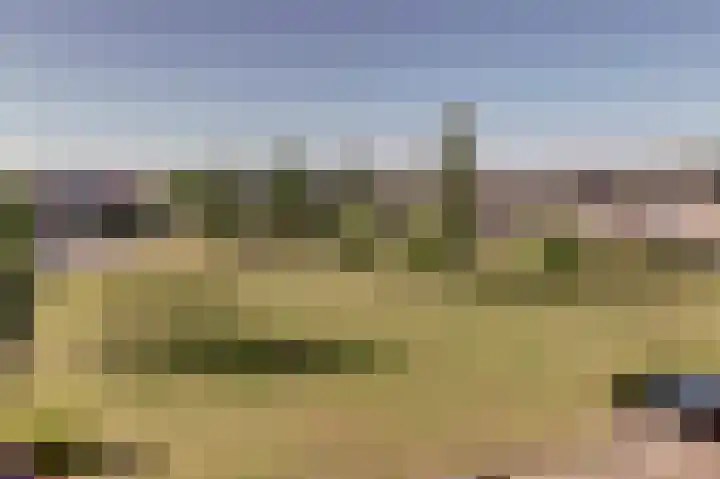 Molster 21 Krabbendijke thumbnail 23