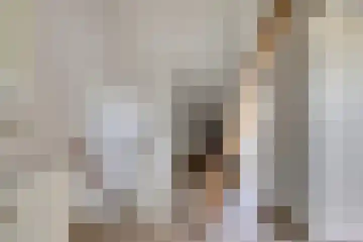 Molster 21 Krabbendijke thumbnail 24