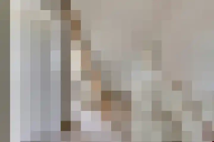Molster 21 Krabbendijke thumbnail 25