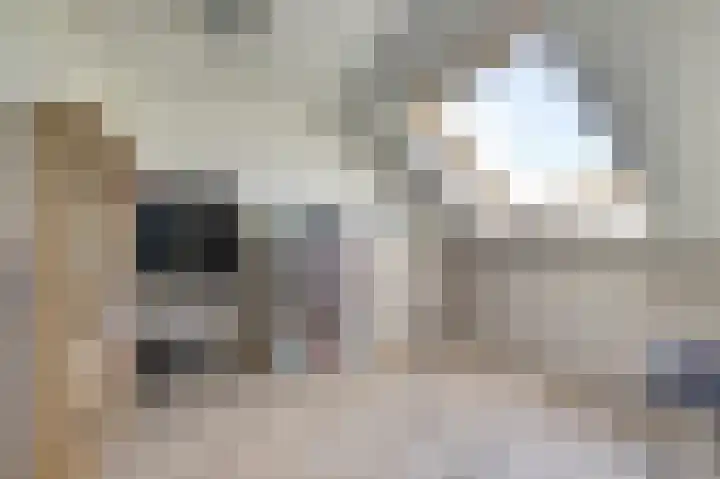 Molster 21 Krabbendijke thumbnail 26