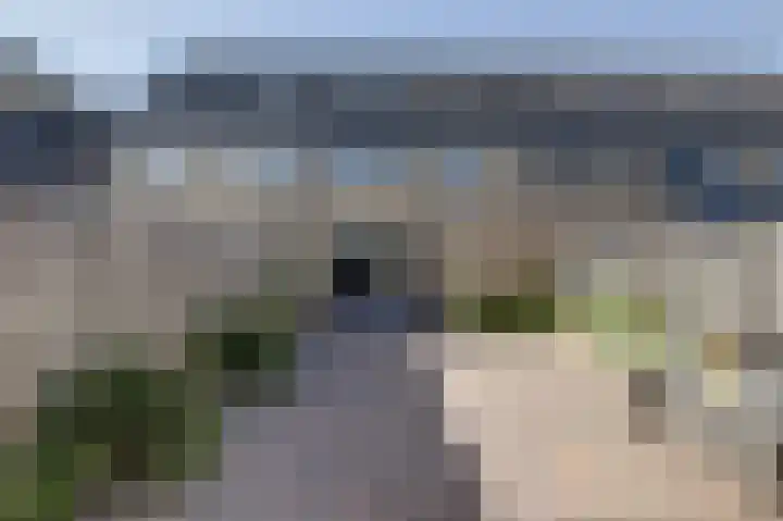 Molster 21 Krabbendijke thumbnail 32