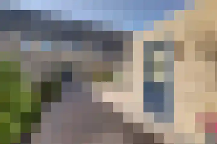 Molster 21 Krabbendijke thumbnail 33
