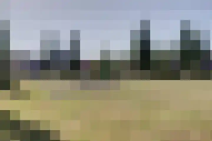 Molster 21 Krabbendijke thumbnail 34