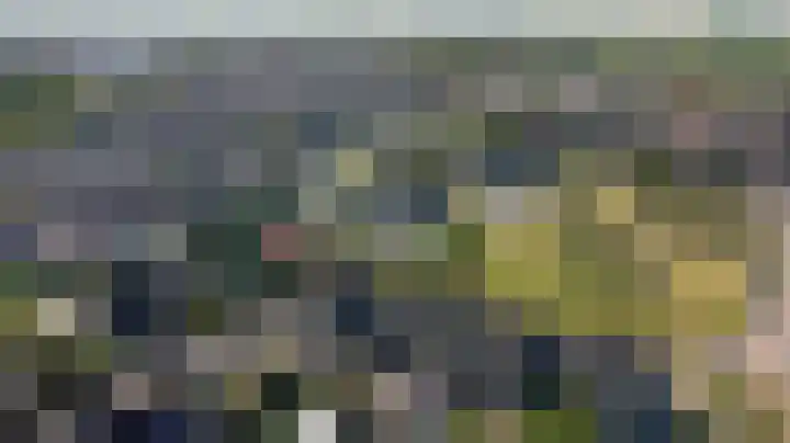 Molster 21 Krabbendijke thumbnail 39