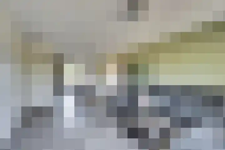 Molster 21 Krabbendijke thumbnail 6