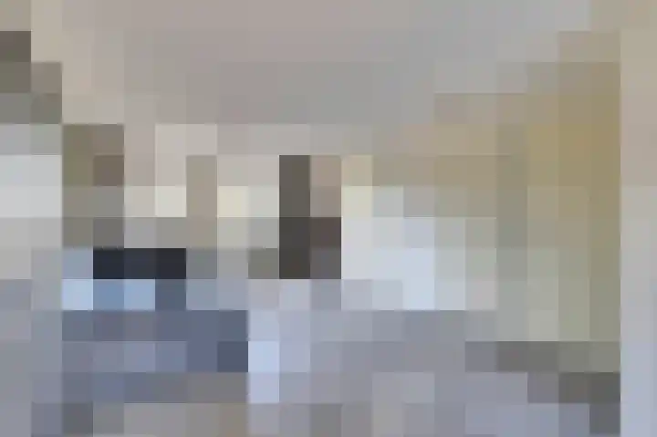 Molster 21 Krabbendijke thumbnail 8